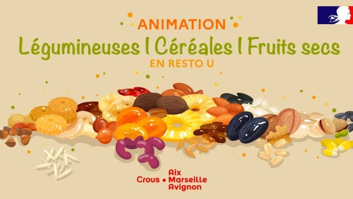 Legumineuses visuel 755x385 04