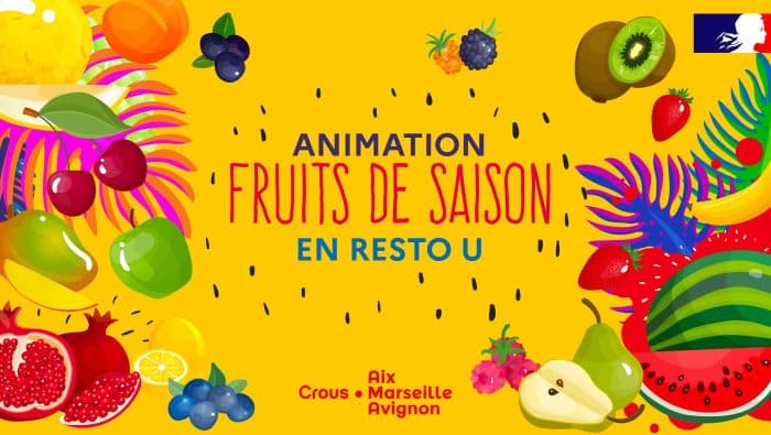 Fruits visuel 755x385 03