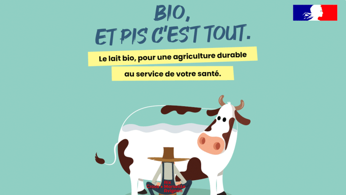 web vache